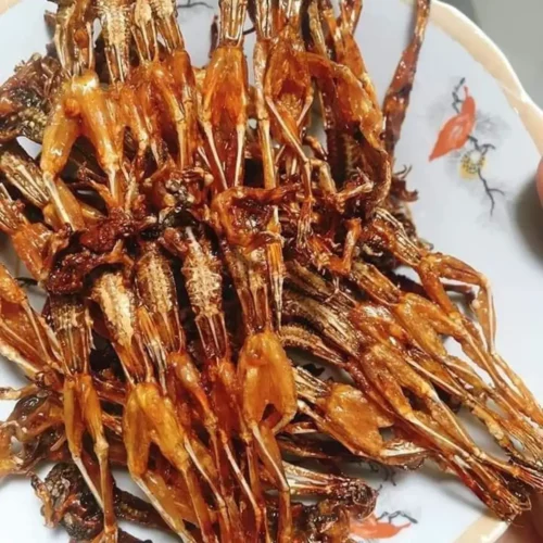 Khô nhái An Giang- Vài Ly Đê