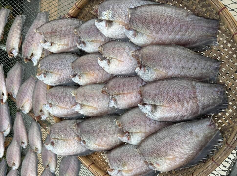 Khô cá Sặc