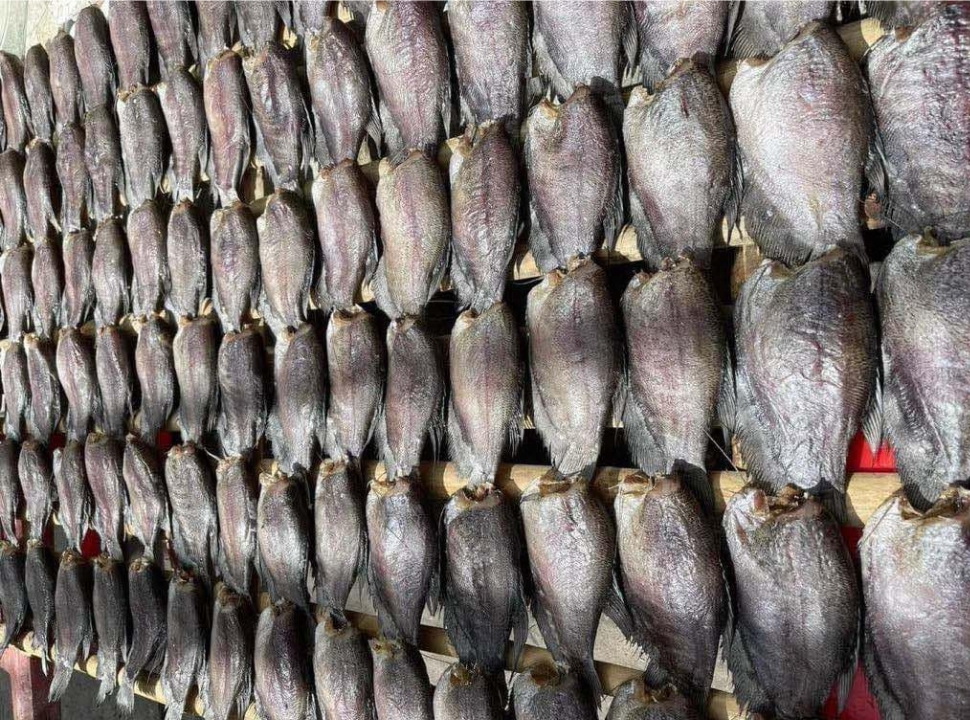 Khô cá Sặc