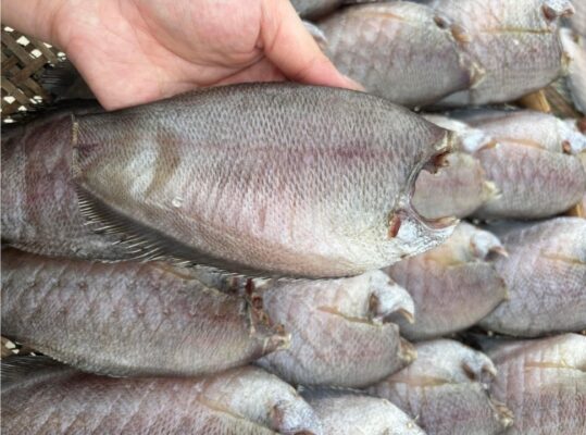 Khô cá Sặc Bổi