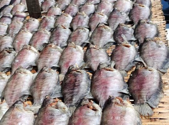 Khô cá Sặc
