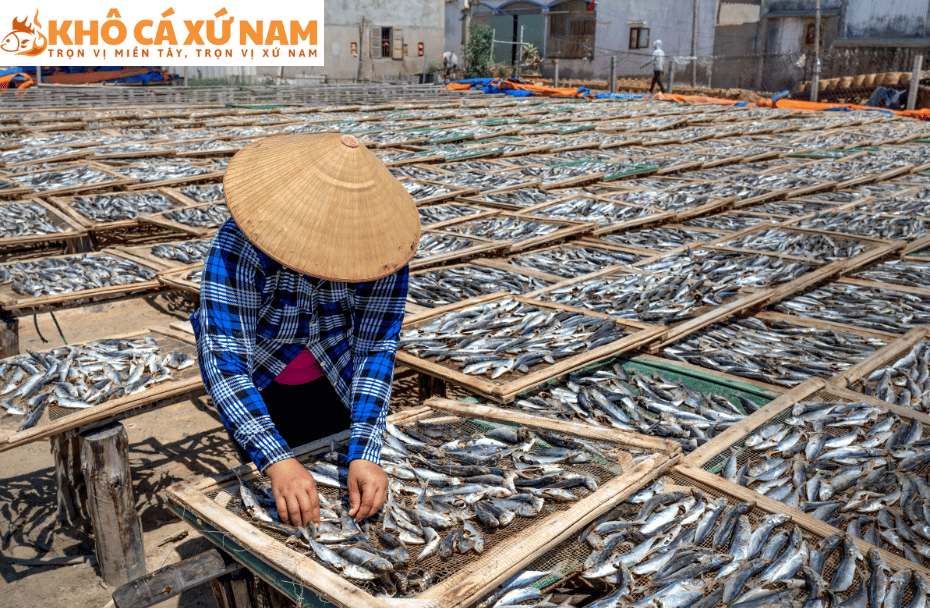 các loại cá phơi khô | khô cá xứ nam