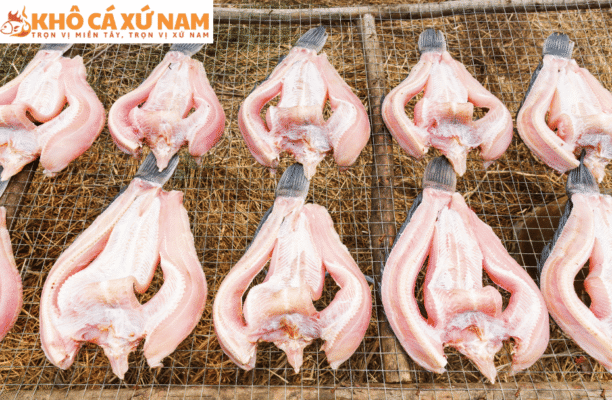 các loại cá phơi khô | khô cá xứ nam
