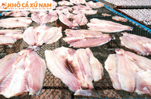 các loại cá phơi khô | khô cá xứ nam