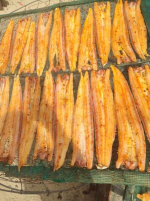 khô cá hố