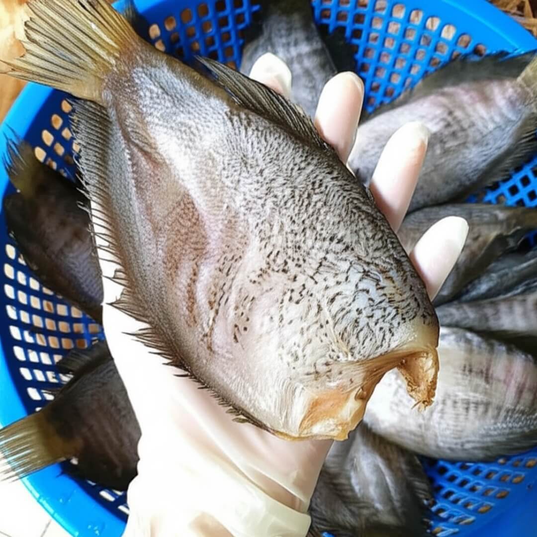 Khô cá Sặc