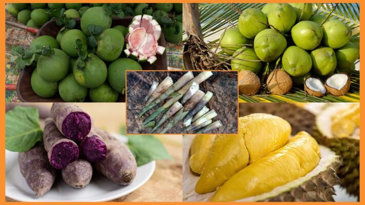 đặc sản cà mau là gì