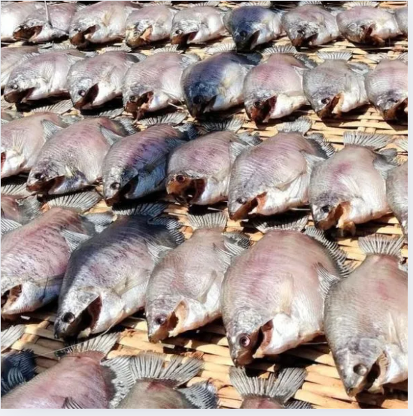 khô cá sặc rằn làm món gì ngon