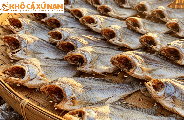 cá mặn là gì | Khô Cá Xứ Nam