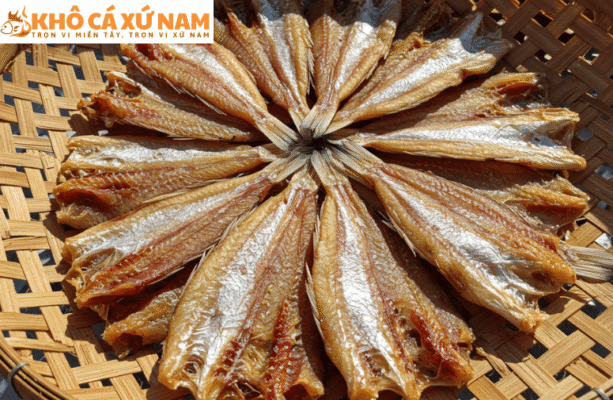 cá mặn là gì | Khô Cá Xứ Nam