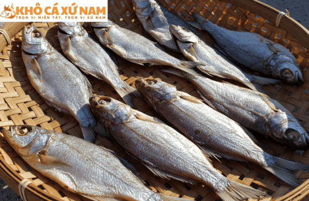 cá mặn là gì | Khô Cá Xứ Nam