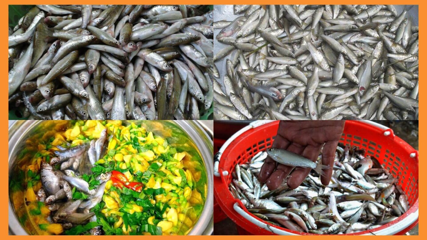 cách làm cá linh kho lạt