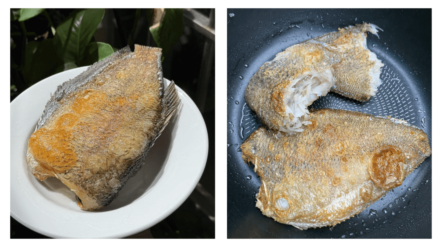 cá sặc bối