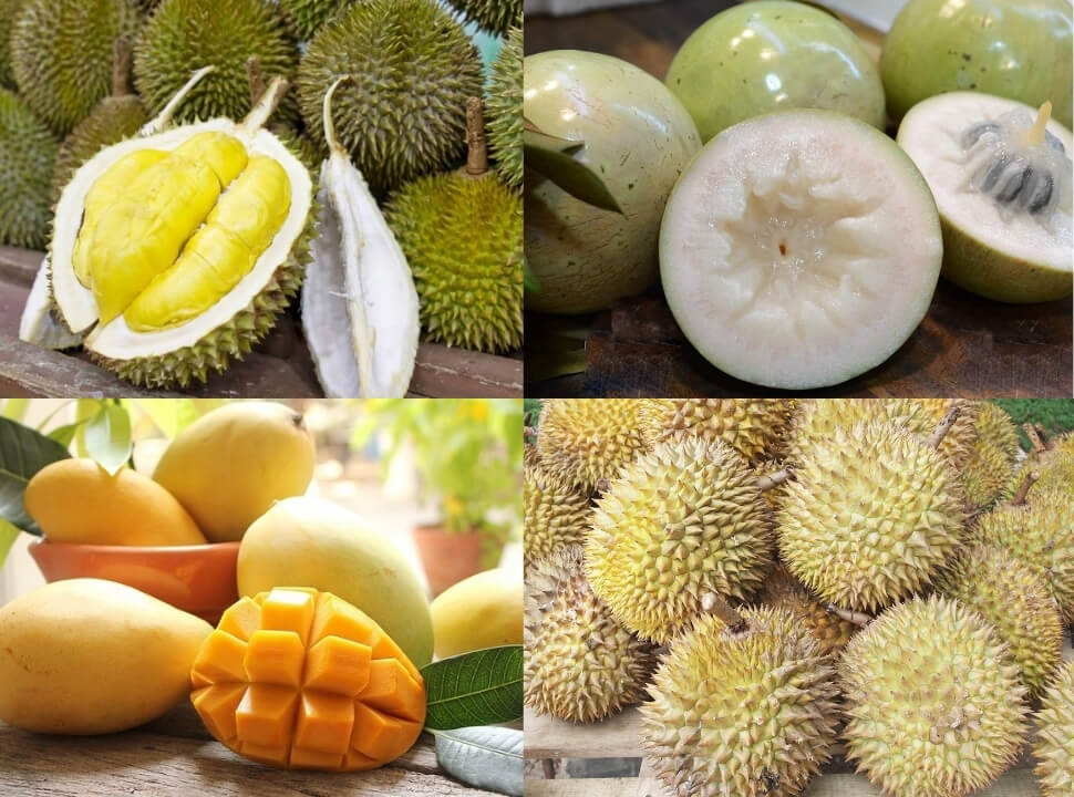 Trái cây miệt vườn Trái cây miệt vườn