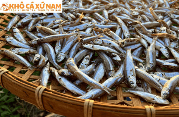 cá cơm tươi làm món gì ngon