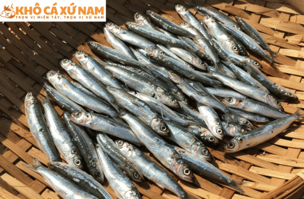 cá cơm tươi làm món gì ngon