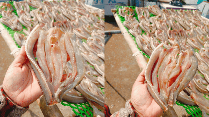 vựa cá lóc miền tây