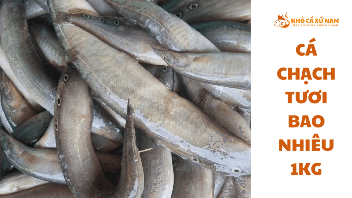 cá chạch tươi bao nhiêu 1kg