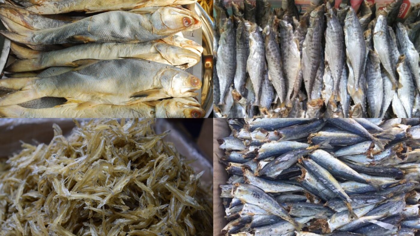 Khô cá mặn làm từ cá gì