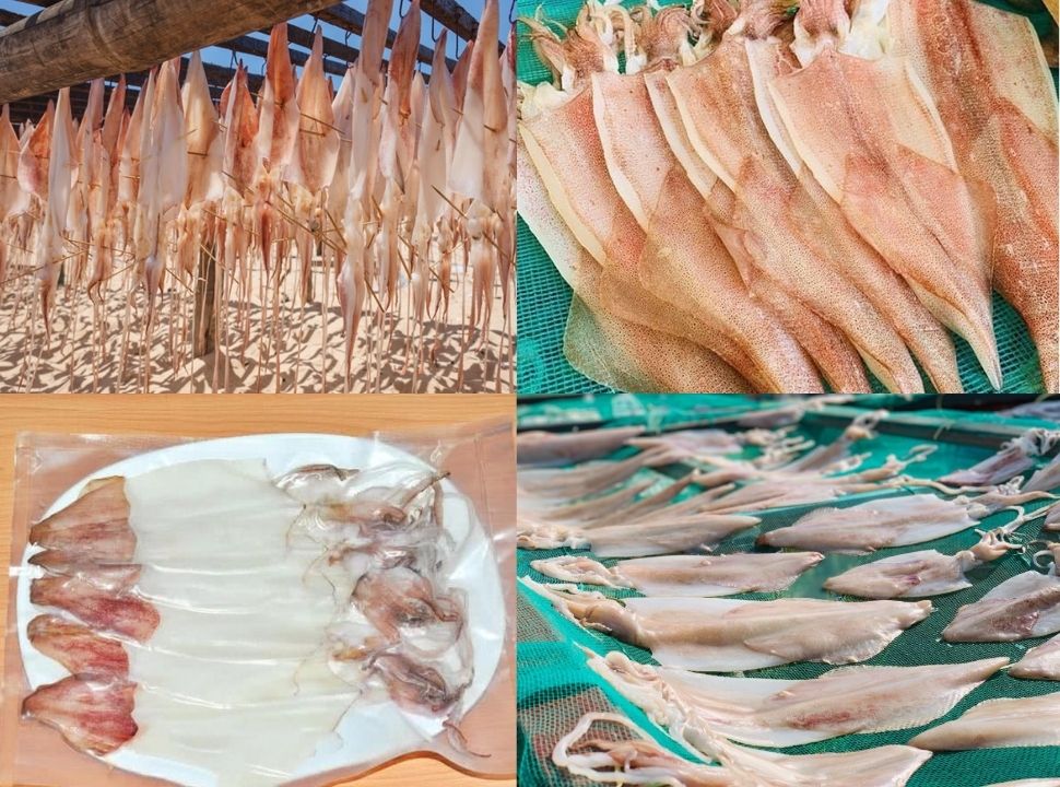 mực 1 nắng làm gì thì ngon