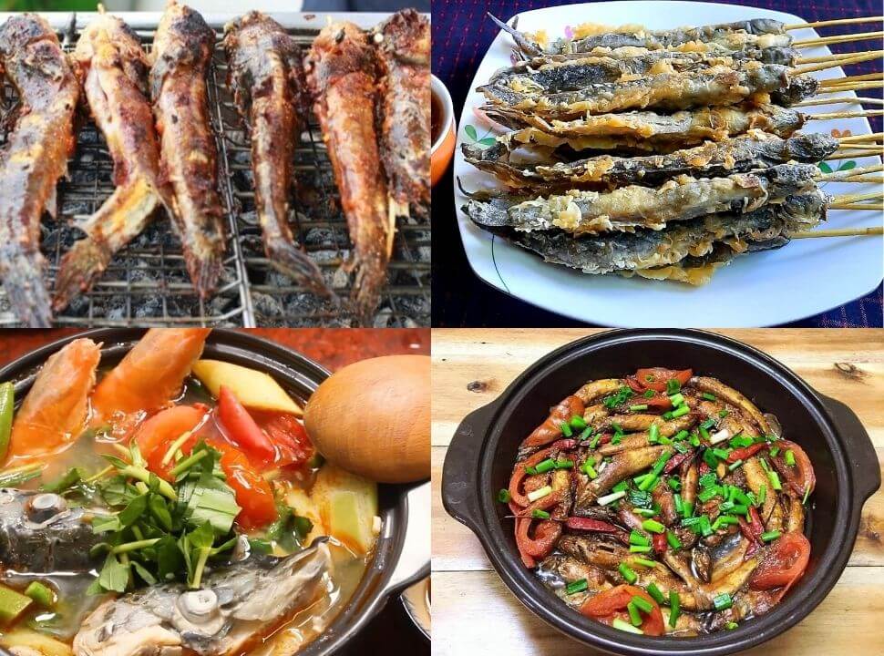 món ngon từ cá thòi lòi