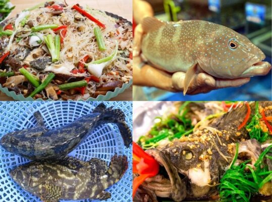 Cách làm cá bống mú chưng tương