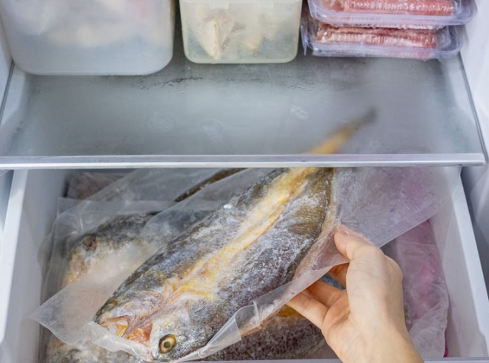 Bảo quản khô cá lâu hơn
