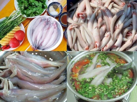 cá khoai nước ngọt