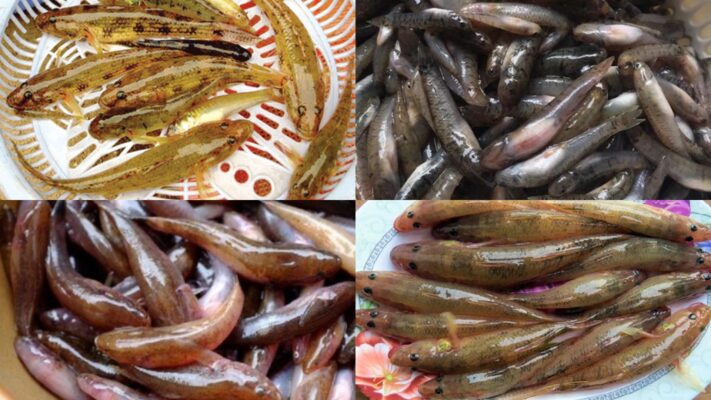cá bống khô chua ngọt