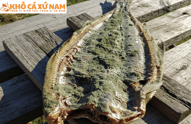 xử lý cá khô bị mốc